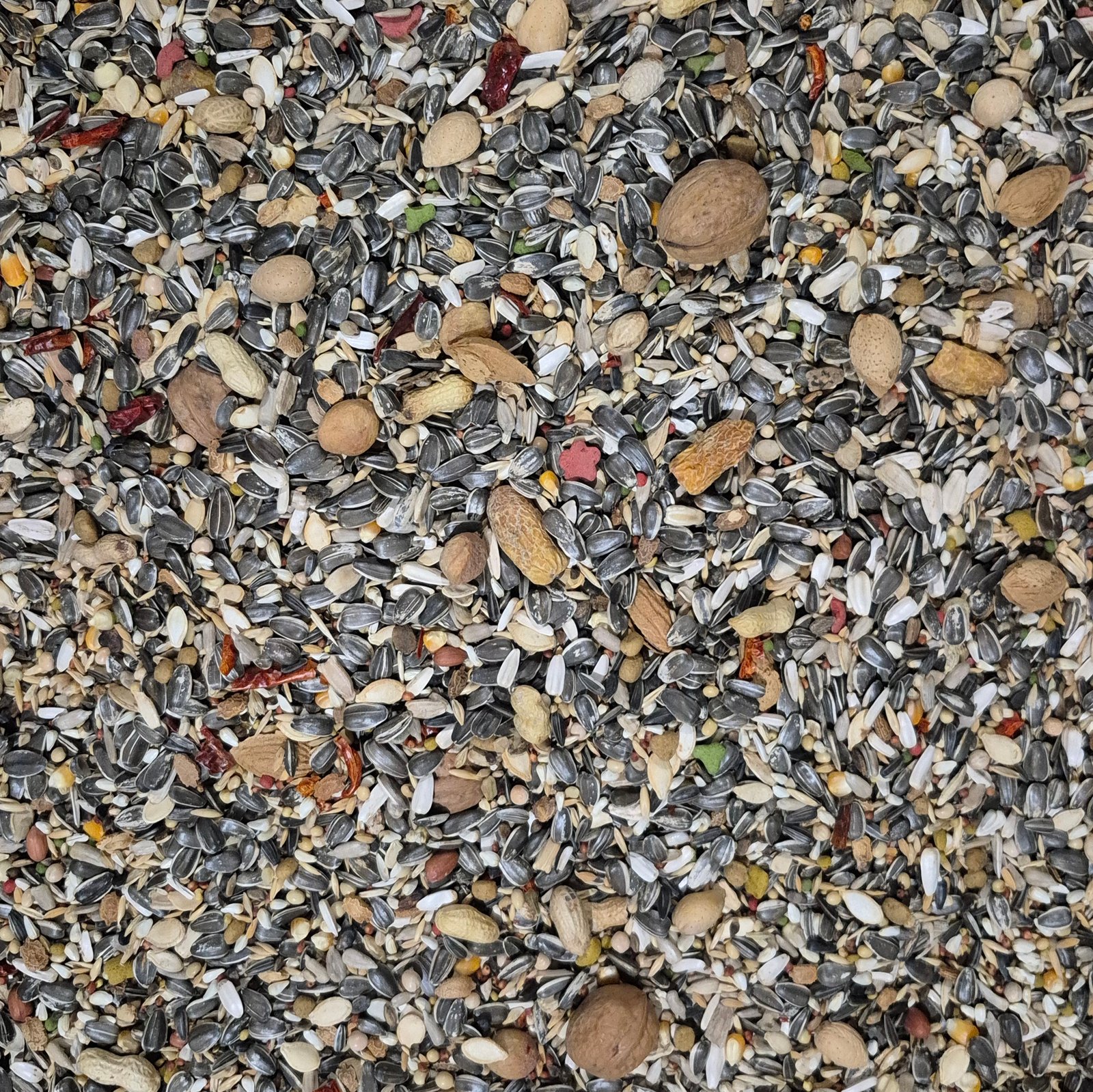 Premium Seed Mix For Big Parrots