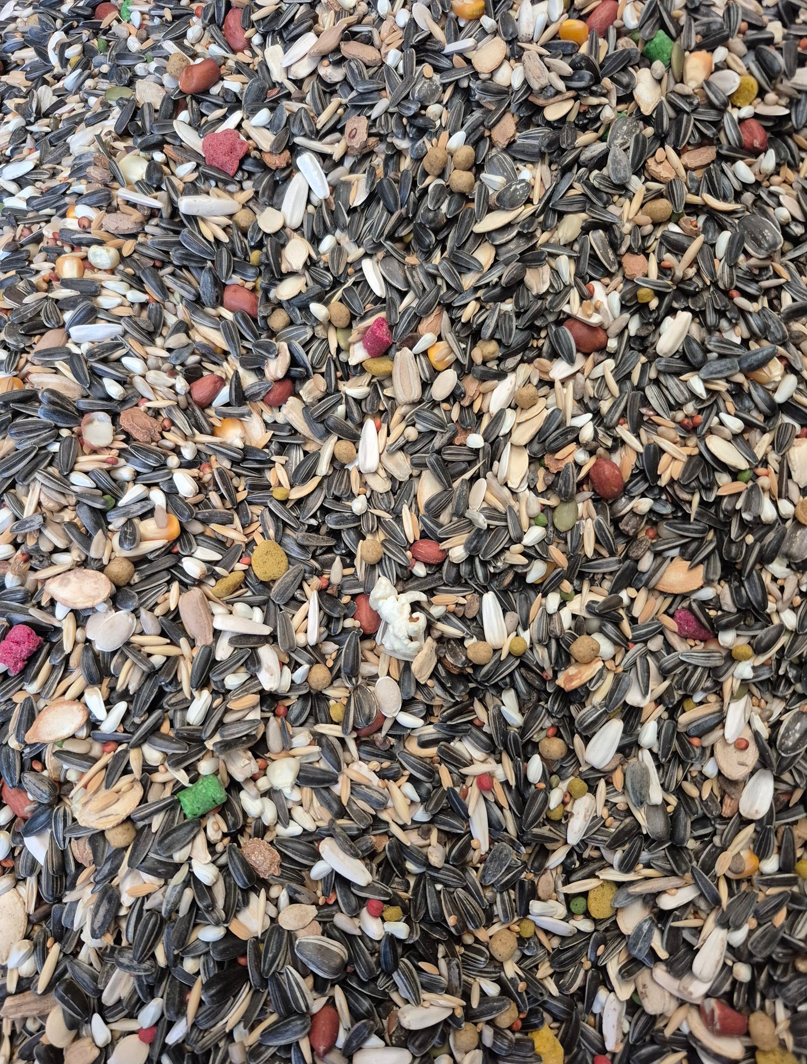 Maitenace Seed Mix Conure