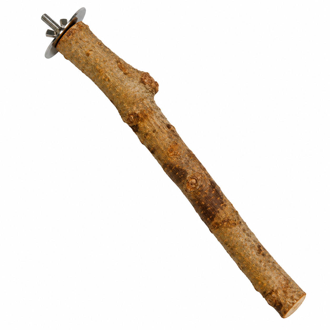 T-7 Eucalypyus Perch