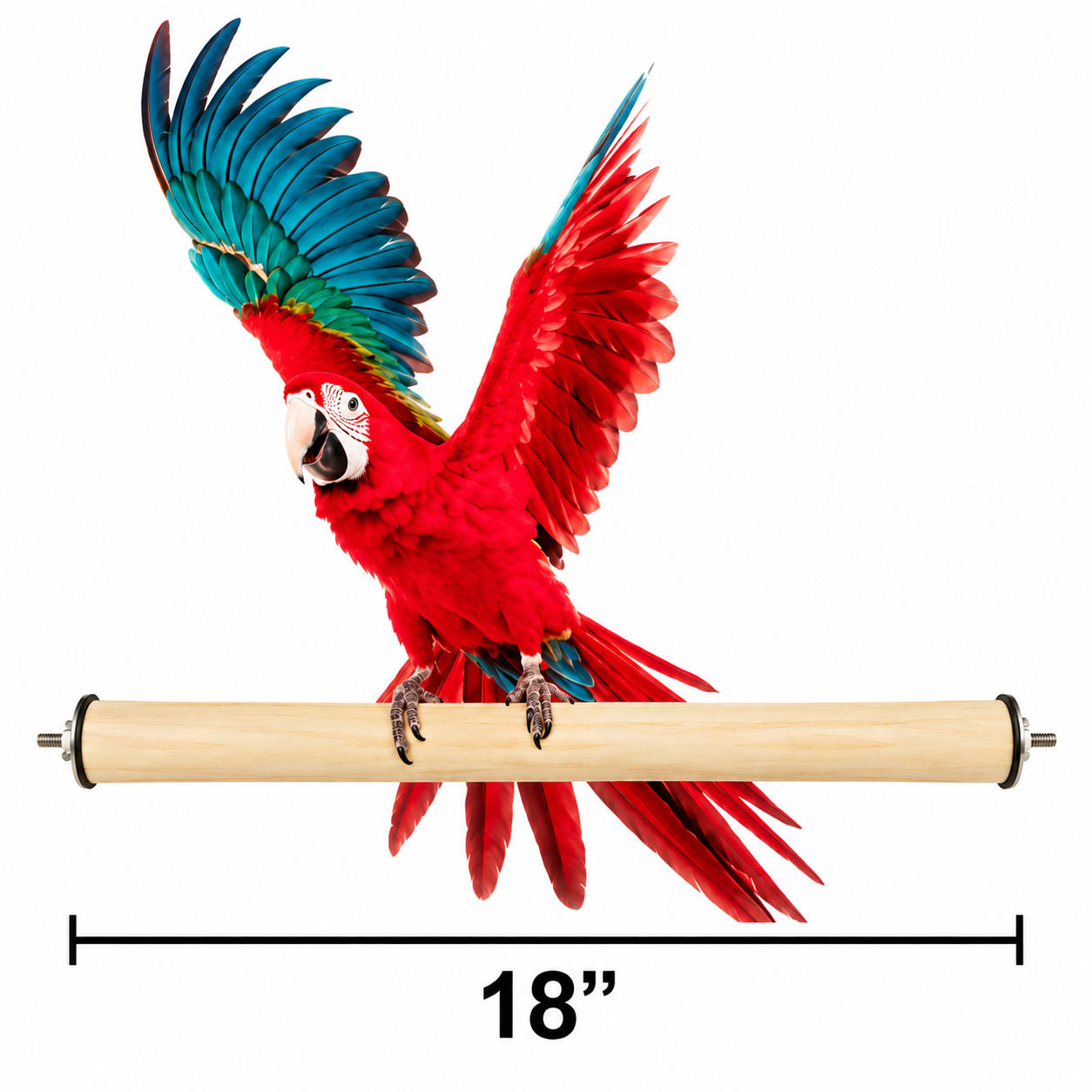 T-12 Macaw Perch